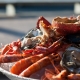delicacies - seafood
